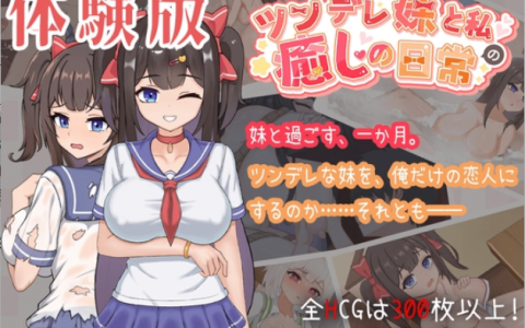 【日系SLG/中文/3D/动态/兄妹】与傲娇妹妹的治愈日常 V0.3.1 官方中文版 百度+UC/565M