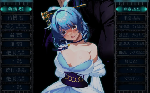 新作[探索SLG/色情/动画] 惩罚少女R おしおき娘々R 正式版+自带全回想 [1.90G]